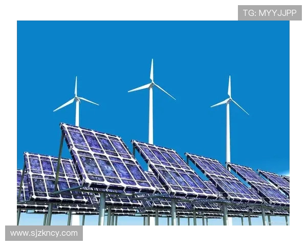 亚马尔地区的资源开发与国际合作前景探讨